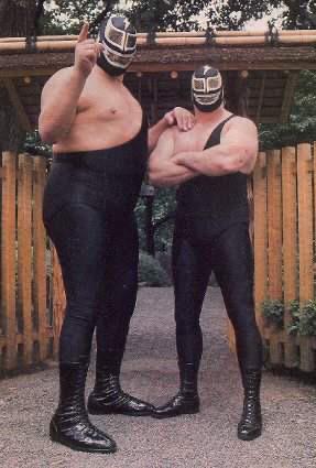 えーっと、アンドレ・ザ・ジャイアントが、実はマスクマンレスラーの