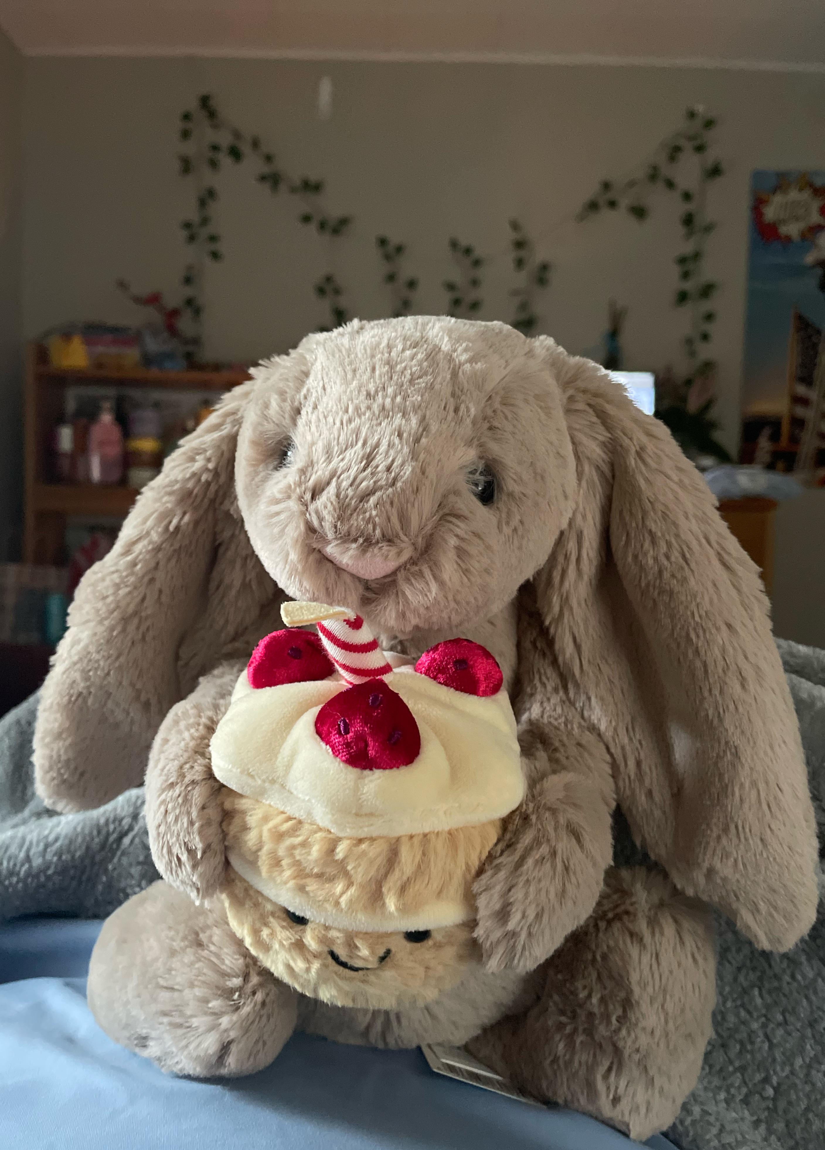 bashful beige bunny 'birthday' for my twentieth ❤️ : r/Jellycatplush