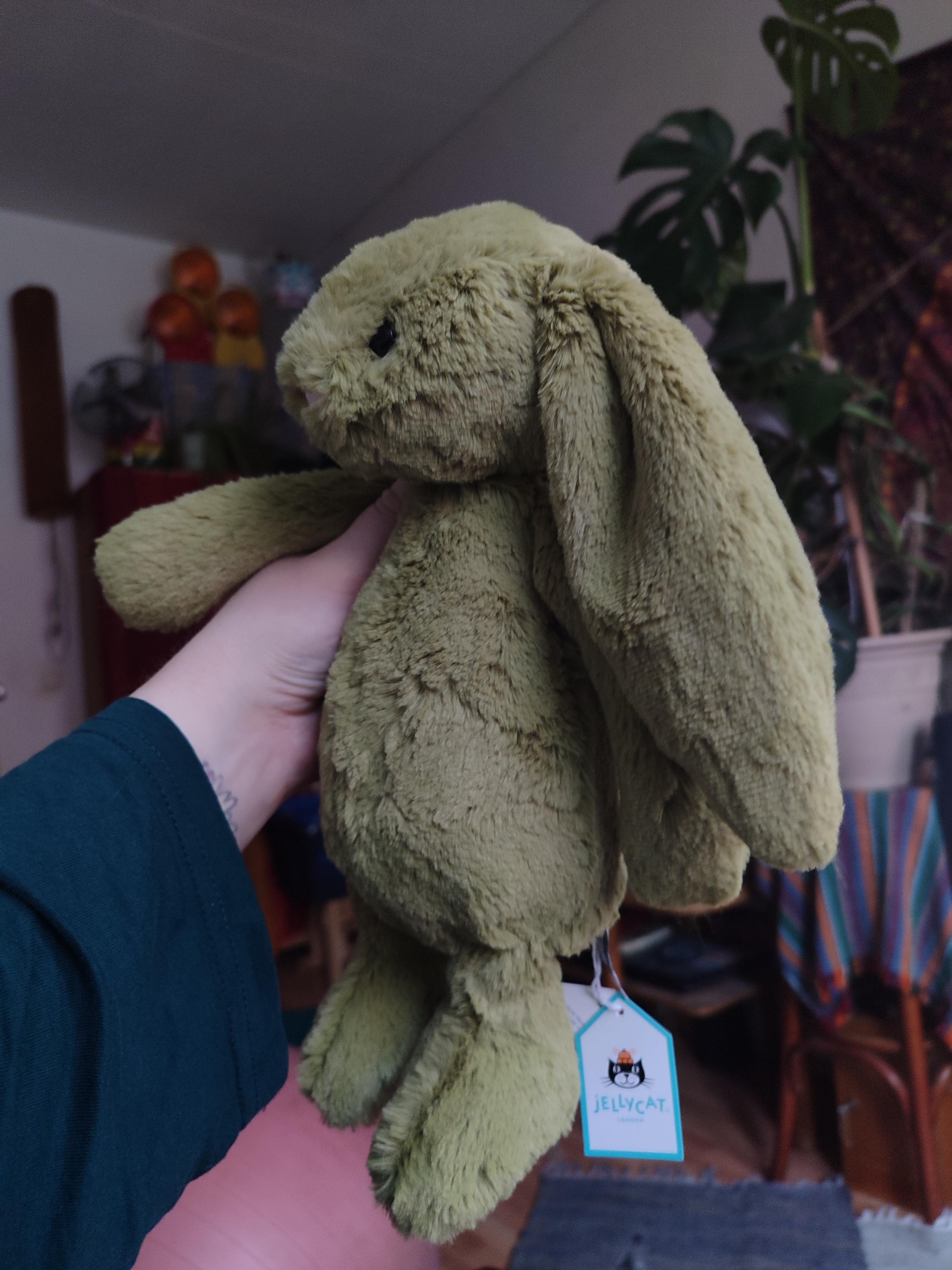 bashful moss bunny : r/Jellycatplush