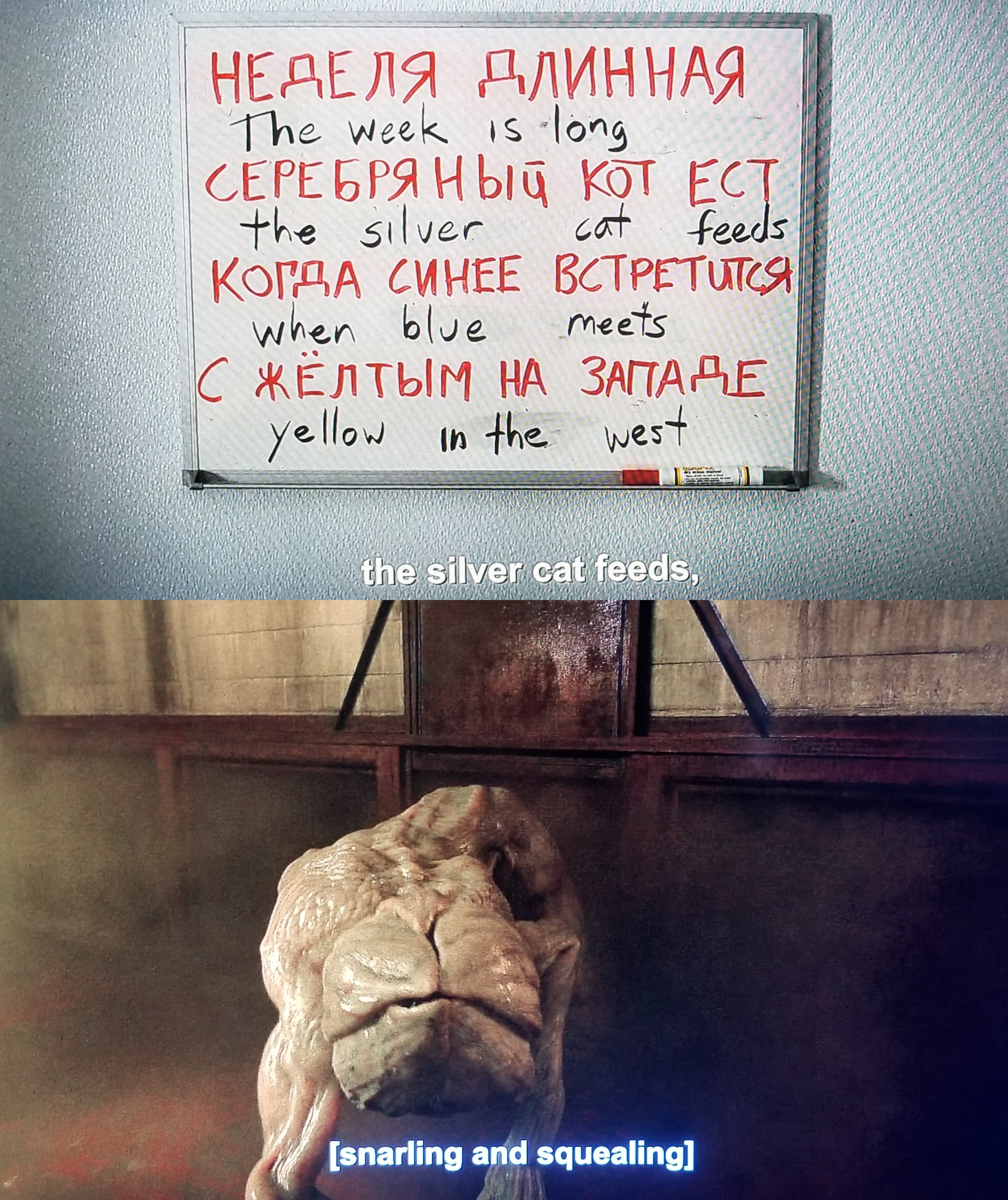 銀色の猫が餌をやる」ちょっと深読みかもしれないけど、最初の