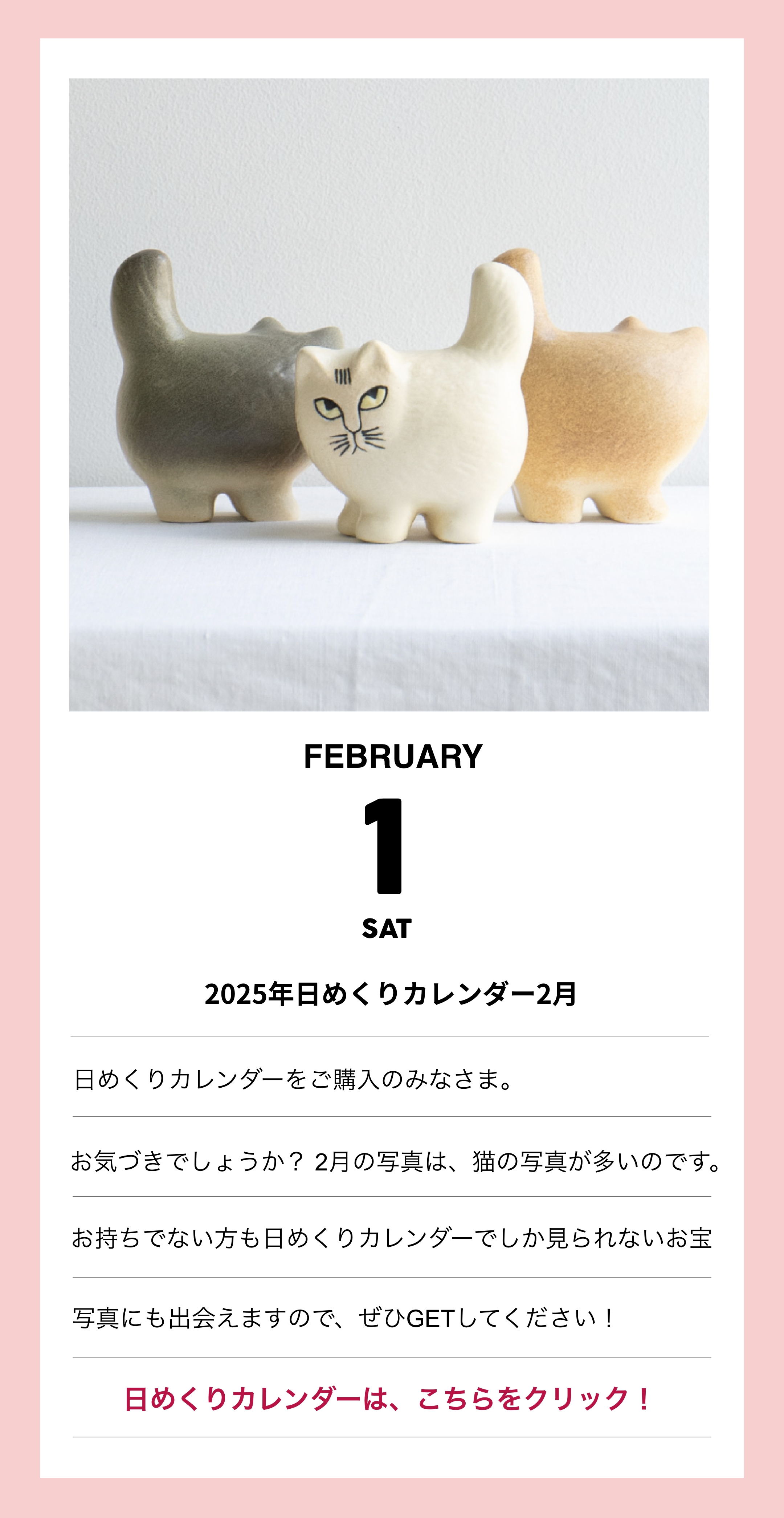 ずっと、猫の日。2025