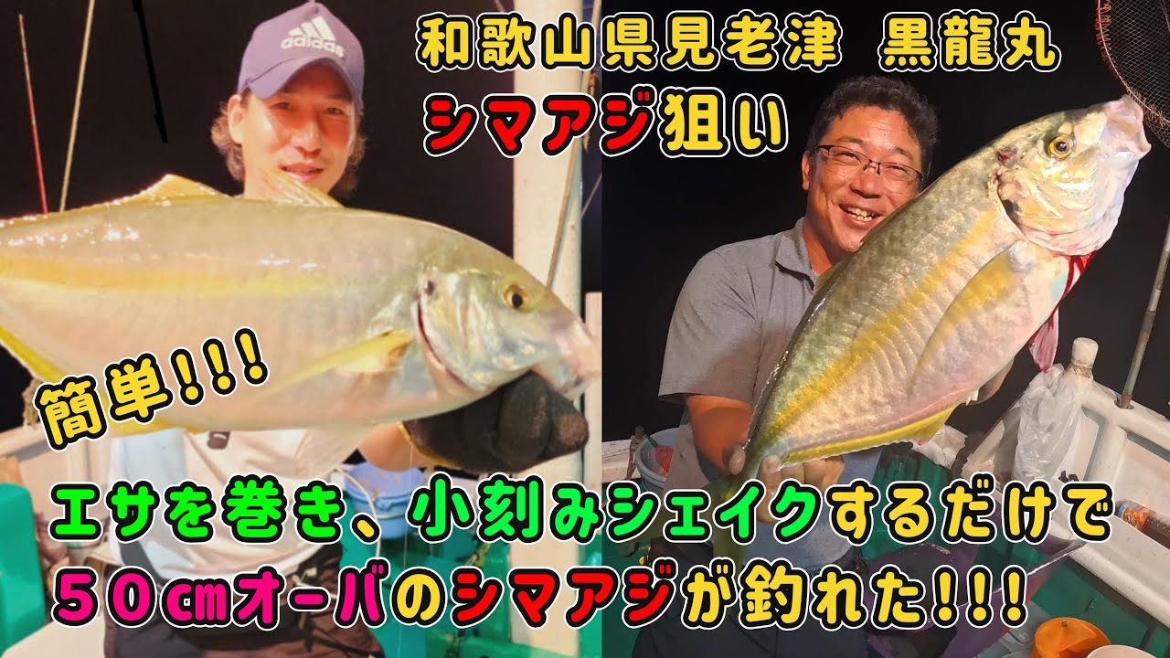 Targeting Striped Jack off the coast of Mirozu, Wakayama