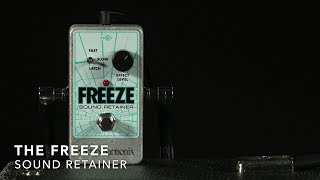 Electro Harmonix The Freeze Sound Retainer | Gear4music demo - YouTube