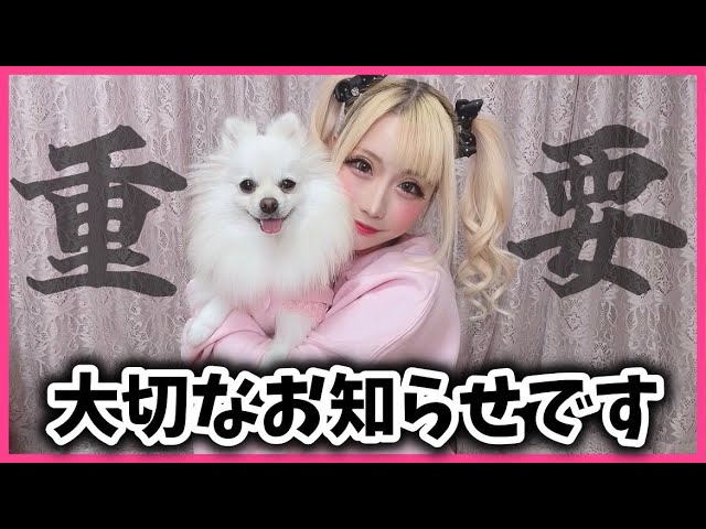 Important] News to everyone and my current feelings! - YouTube