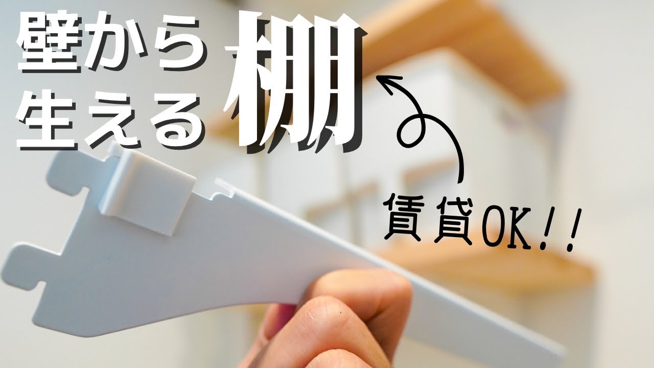 Suitable for rental properties!】DIY adjustable shelves on the
