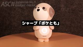 I feel like I'm no longer alone. My desk has become a relaxing