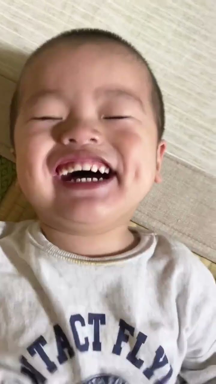 TOMY／MR.LAUGHMAN。laughing for you!【笑い袋】 Amazon | 笑い袋