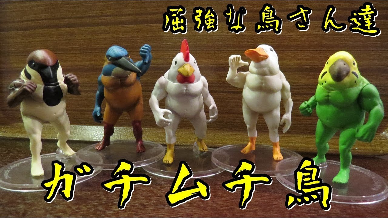 ガチャ】ガチムチ鳥 全種類紹介します！ - YouTube