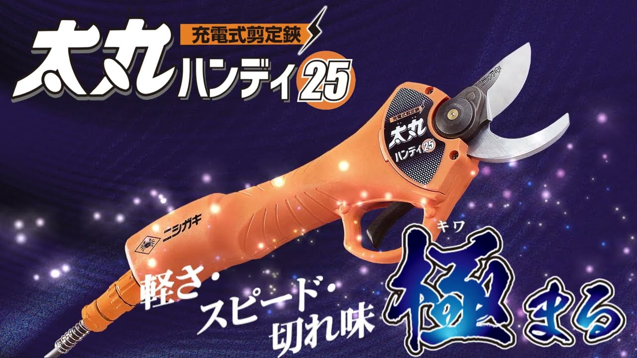 太丸ハンディ25 - YouTube