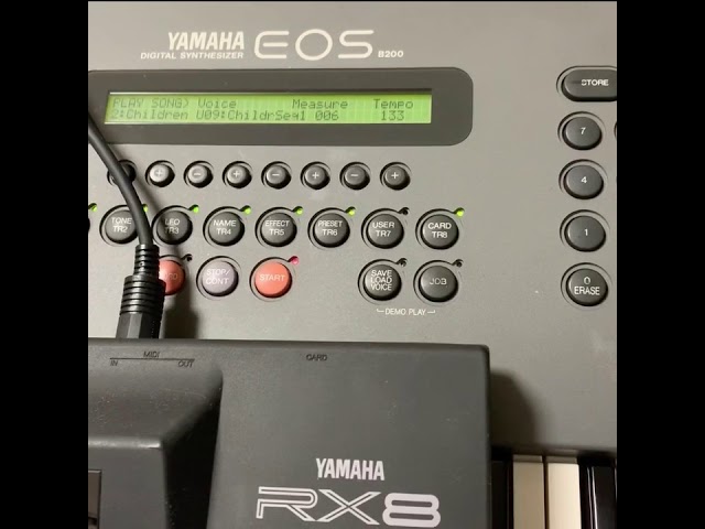 YAMAHA EOS B200 DEMO SHORT PHRASE / VOICE CARD RCD4000 