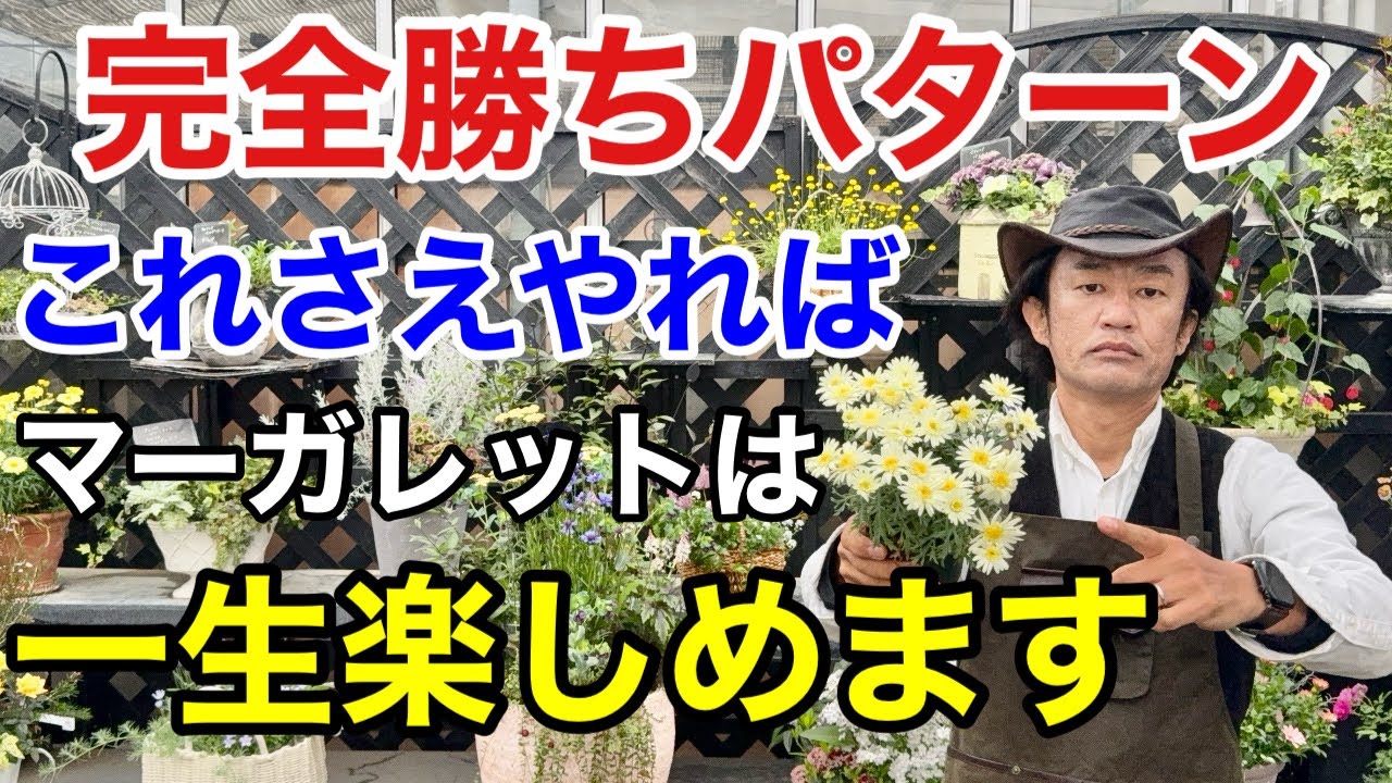 挿し木・挿し芽の基本》挿し穂の取り方～ポット上げまでを徹底解説