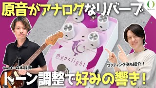 Limetone Audio moonlight エフェクター リバーブ ムーンライト ライム