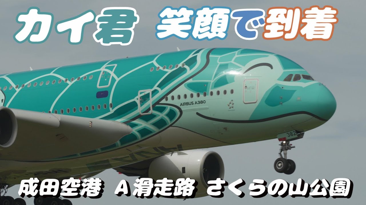 4K】成田空港 さくらの山公園 全日空 フライング・ホヌ カイ君 ハワイ