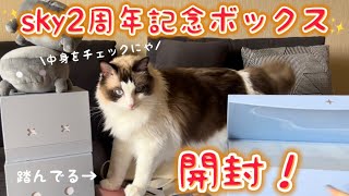 sky星を紡ぐ子どもたち】2周年記念ボックスを猫と開封しただけの動画