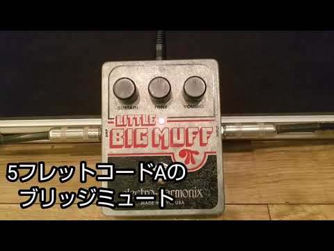 ELECTRO-HARMONIX LITTLE BIG MUFFの音 【エフェクター FUZZ】 - YouTube