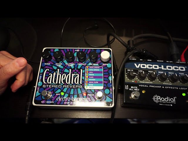 Jessica Sligter Tutorial - Cathedral Stereo Reverb Pedal Electro