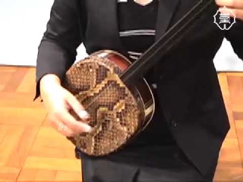 中国 三弦 奏法 「弾」 - YouTube