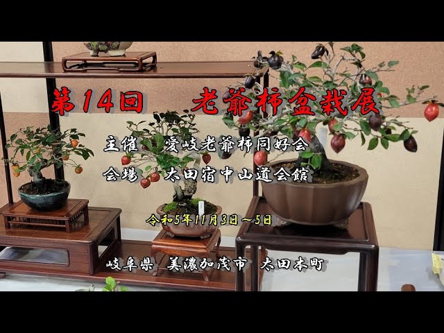 第14回 老爺柿盆栽展 - YouTube