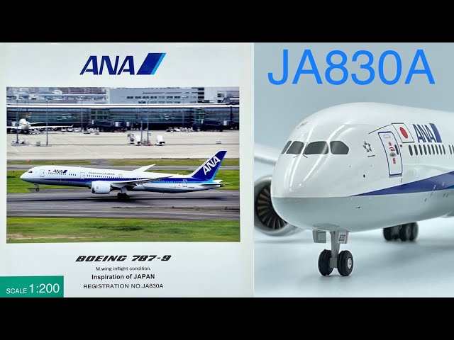 全日空商事 NH20069 1/200 ANA 787-9 JA830A Hogan wings ANA OFFICIAL