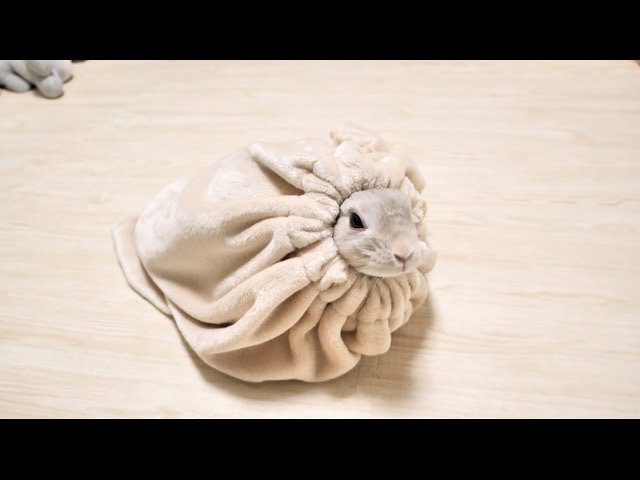 ネックウォーマーが温かすぎて着けたまま1日中過ごしちゃう怠惰な