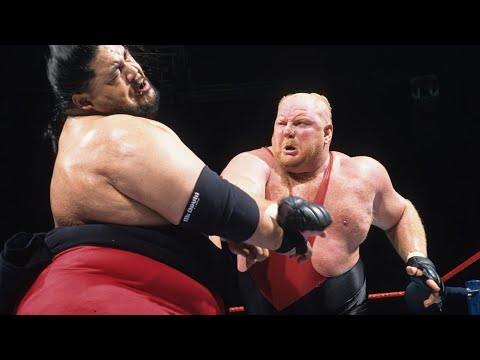 ビッグ バン ベイダー オフィシャル wwe 等身大段ボール切り抜き