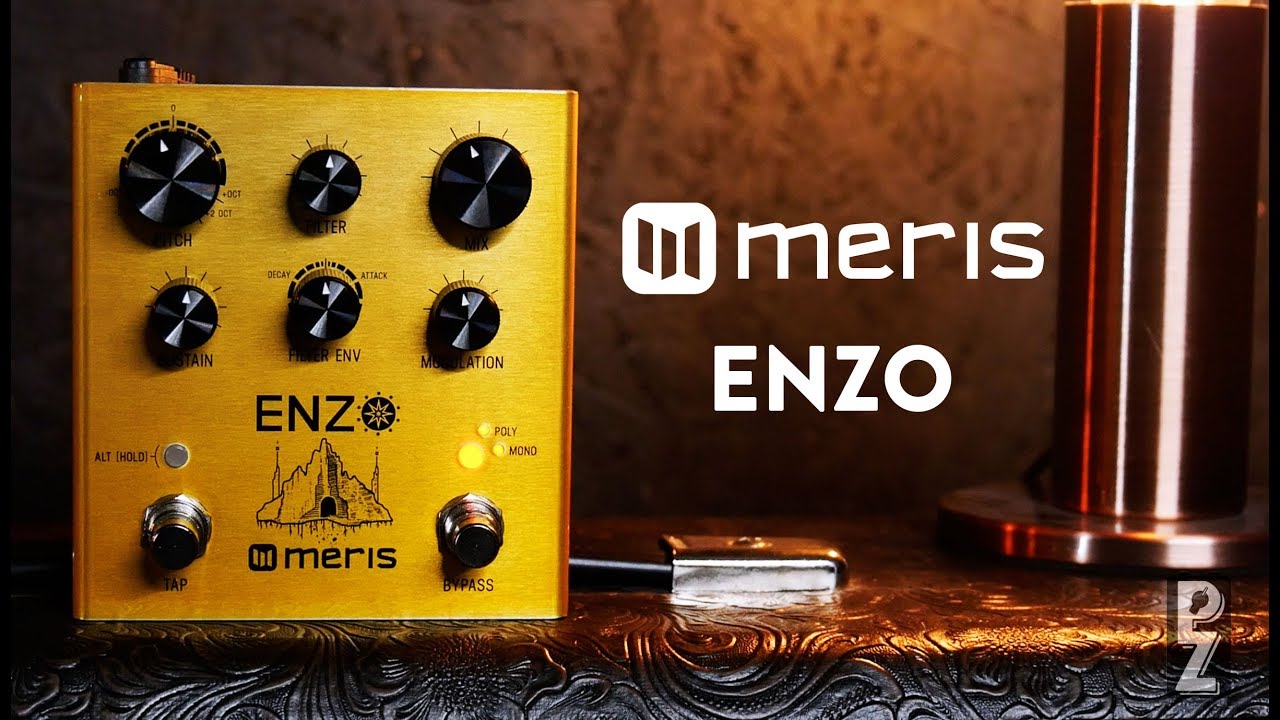 Meris Enzo Multi-Voice Synthesizer Pedal Demo - YouTube