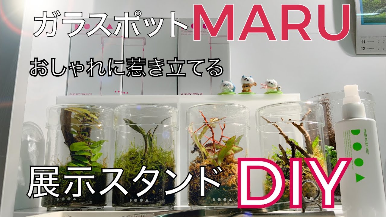 テラリウム】ガラスポットMARUをオシャレに展示出来るスタンドDIY DOOA
