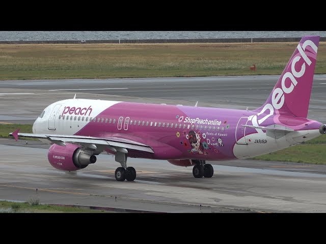 Peach Airbus A320-200 JA816P Takeoff from KIX 24L - YouTube