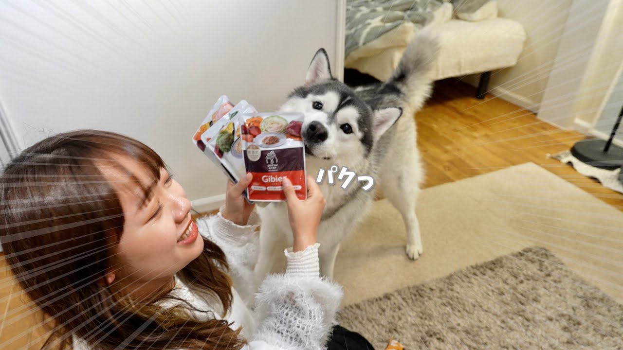 A naughty little brother eats the whole bag of his favorite food