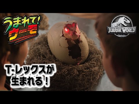 Hatchimals Jurassic World T-Rex Egg] Dinosaurs hatching from eggs