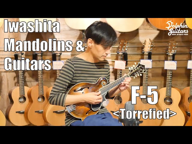 IWASHITA MANDOLINS&GUITARS F-5＜Torrefied＞ Demo - マンドリンでは