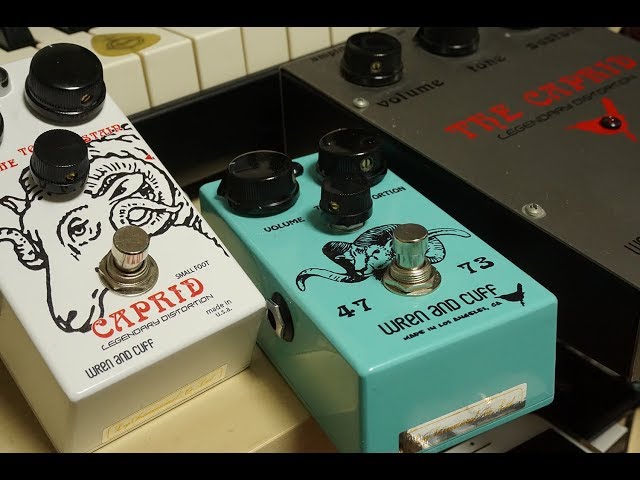 Wren and Cuff] Comparison of Rams muffs: Caprid small foot & 47/73