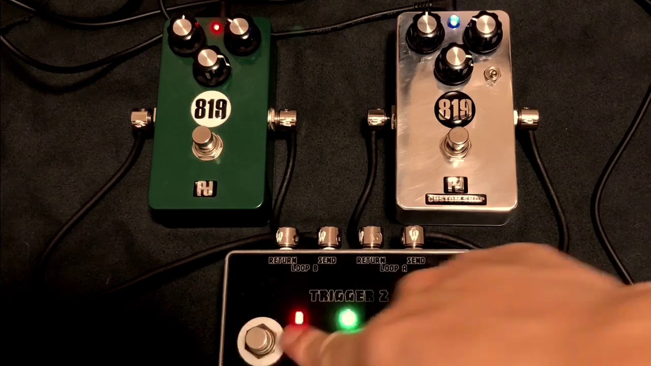 TS系ペダルPedaldiggers 6th Anniversary Model 819限定モデルを