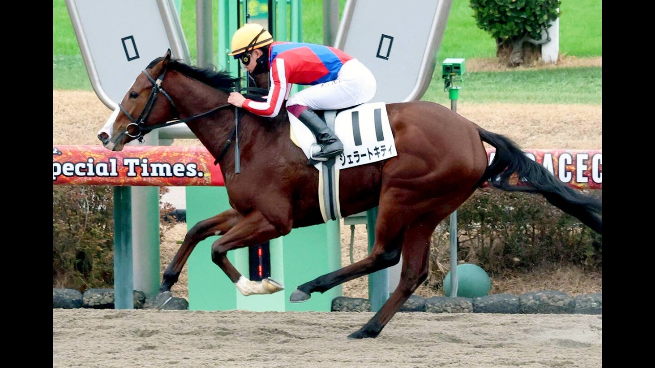 20251227 競馬ﾚｰｽﾄﾋﾟｯｸ 03【逃切り!】'25中5-7-06R D1200 2新馬