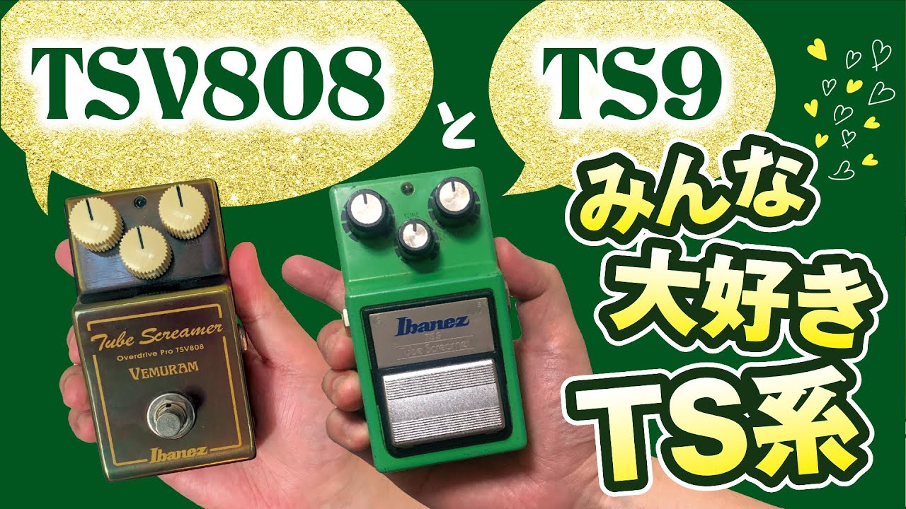 VEMURUM TSV808 Ibaneze TS9（現行品） みんな大好きチューブス