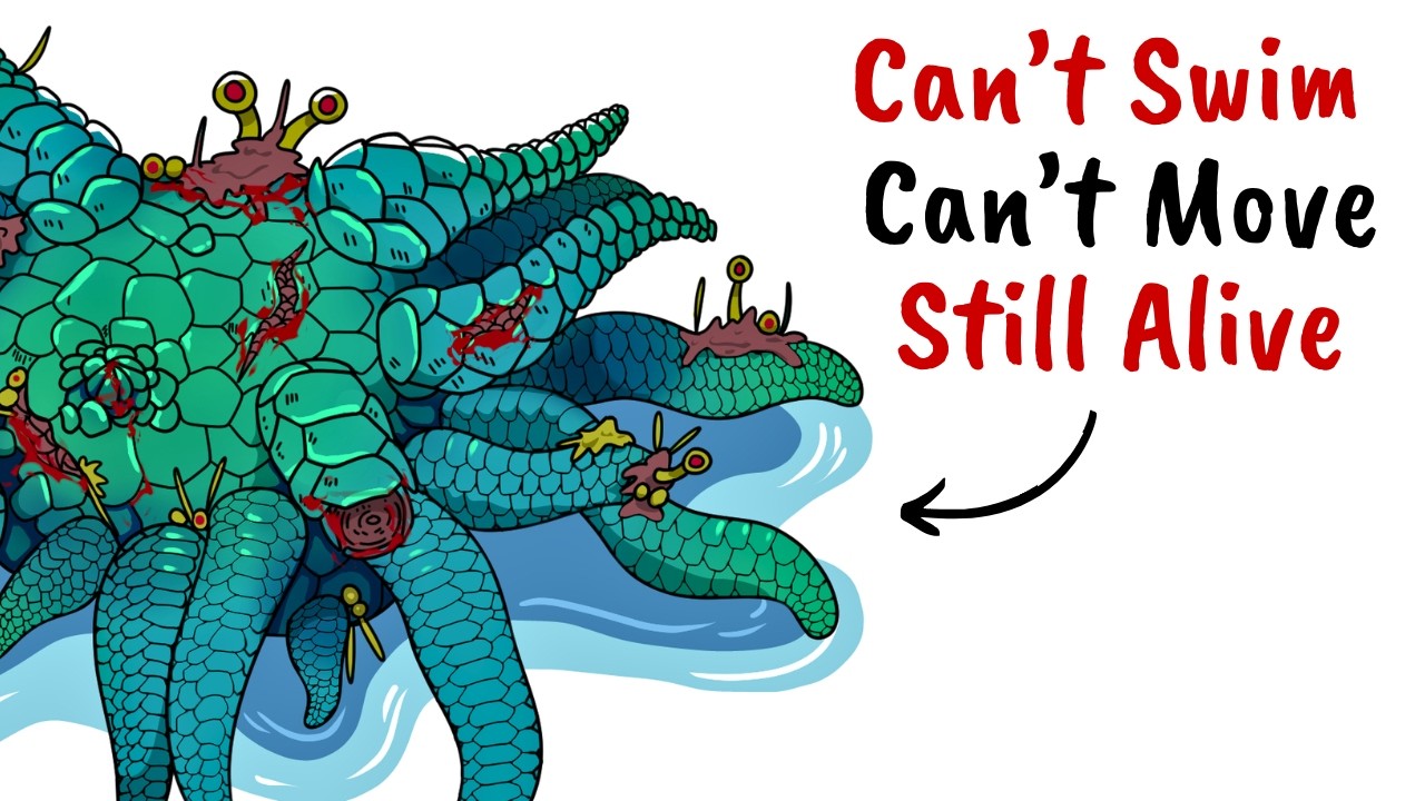 1/6 Scale Shokichi Komachi (小町 小吉) - Terra Formars (テラフォー