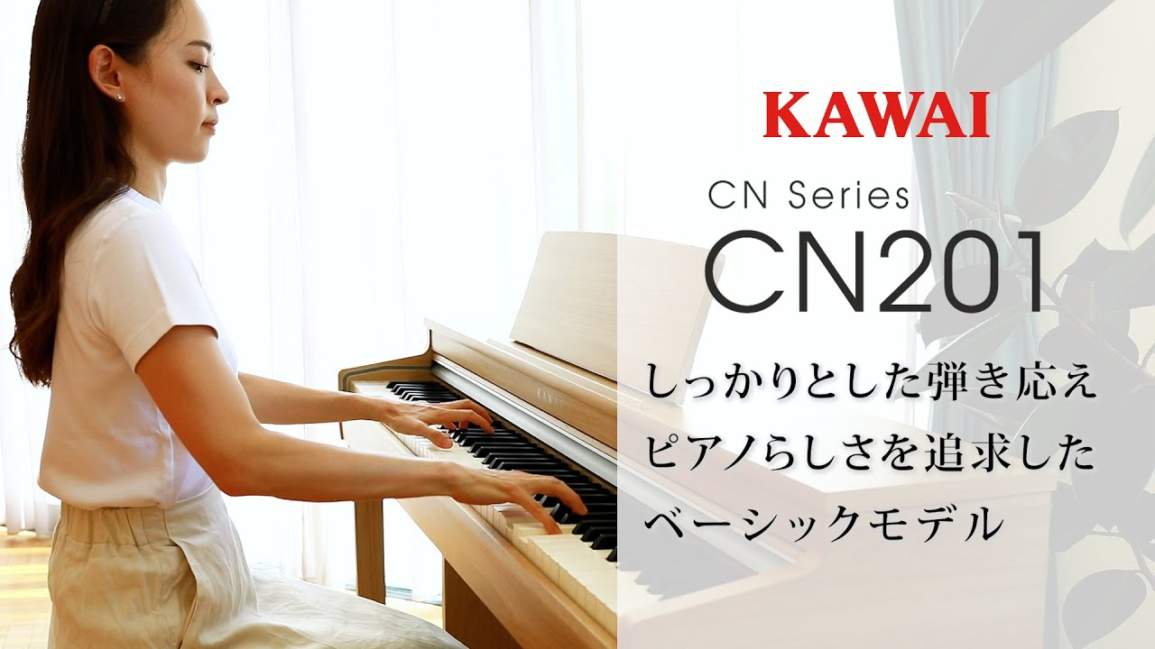 CN201（生産終了）｜製品情報｜河合楽器製作所 製品サービスサイト
