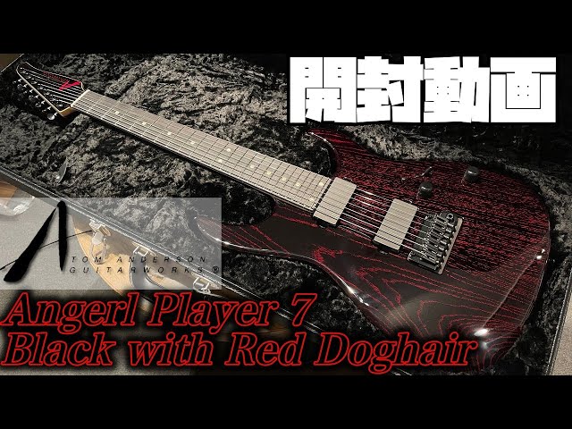 開封の儀！Tom Anderson Angel Player 7 Black with Red Dog Hair