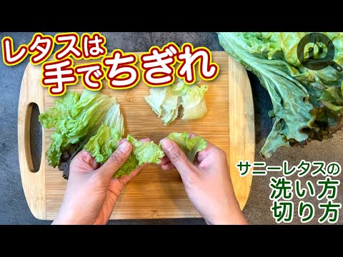 サニーレタスの洗い方と切り方 N.D.Kitchen Basic - YouTube