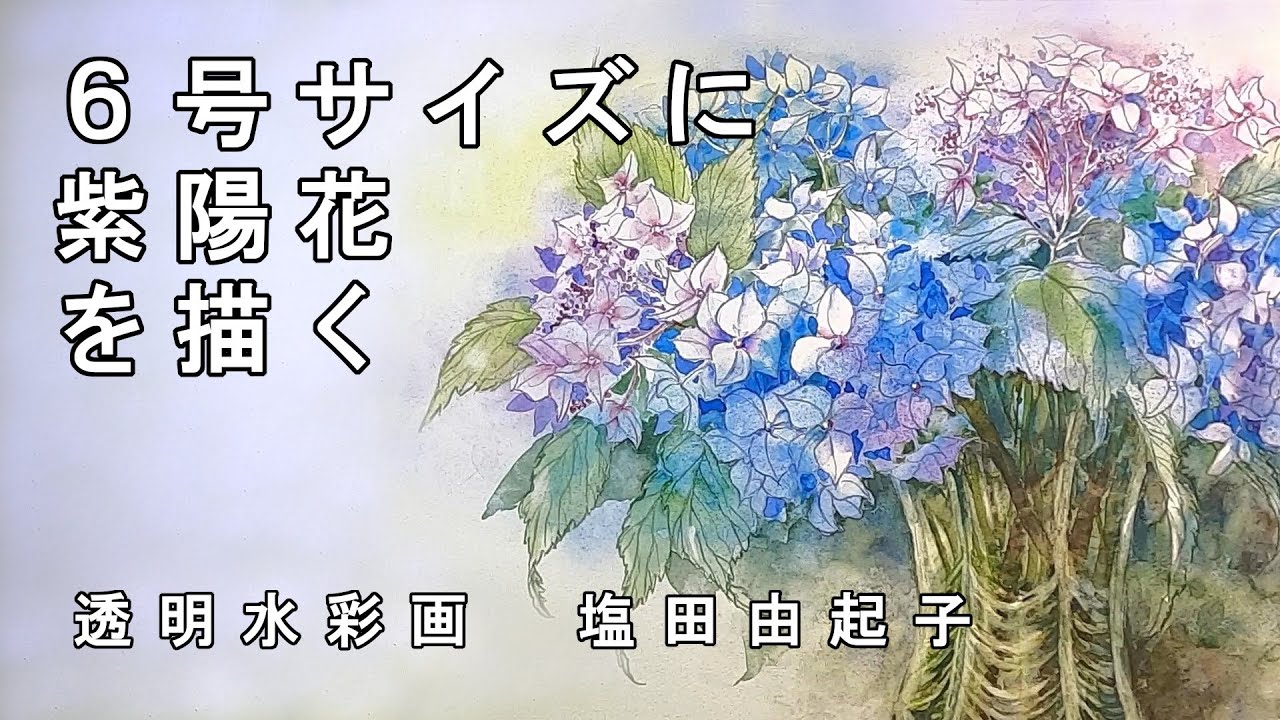 Transparent watercolor painting] Draw hydrangeas on a No. 6 size