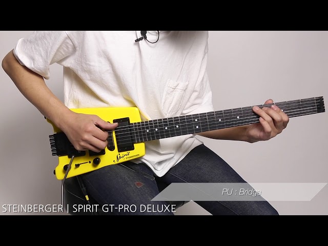 STEINBERGER / SPIRIT GT-PRO DELUXE [Digimart Magazine Product