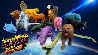 スーパーアニマルアンドコ コンプリートセット開封【DeAgostini SUPER