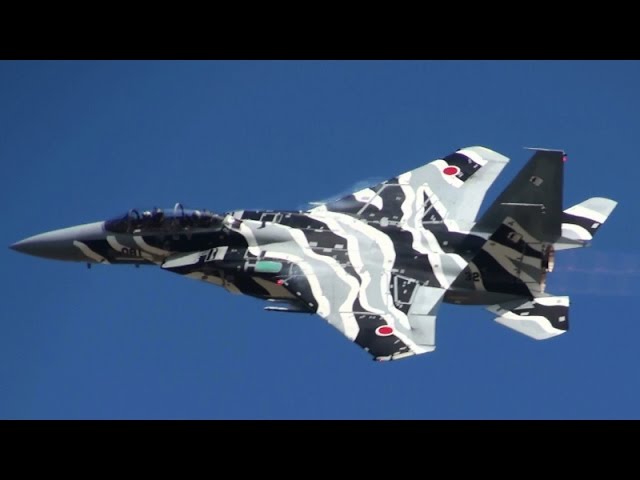 新田原基地航空祭2015 予行 アグレッサー 飛行教導群教導隊 F-15DJ