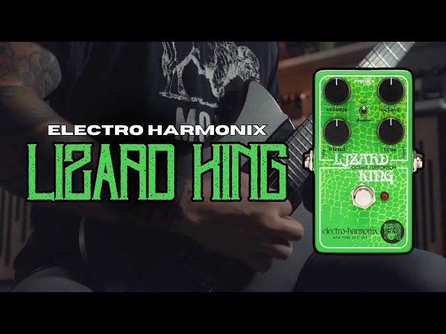 This pedal SOUNDS GNARLY! Electro Harmonix LIZARD KING - YouTube