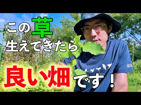 We will reveal the secret of the symbiotic relationship hidden in