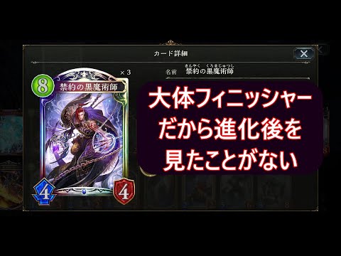 た*ー様 シャドウバースエボルヴ ナイトメア 死者 荒野 NC 構築済み