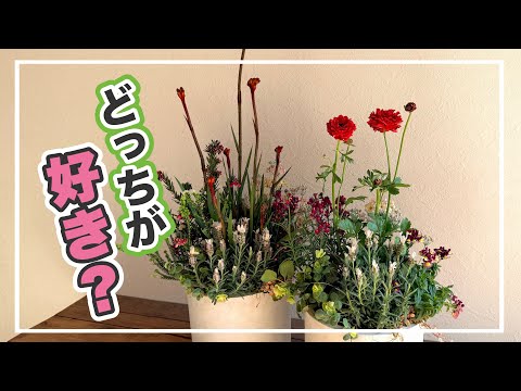 Aren't these Aussie plant arrangements cool? [Planting] - YouTube