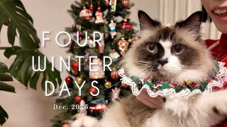 Christmas Vlog】Four Winter Days with Our Cat ✨｜Celebrating Our