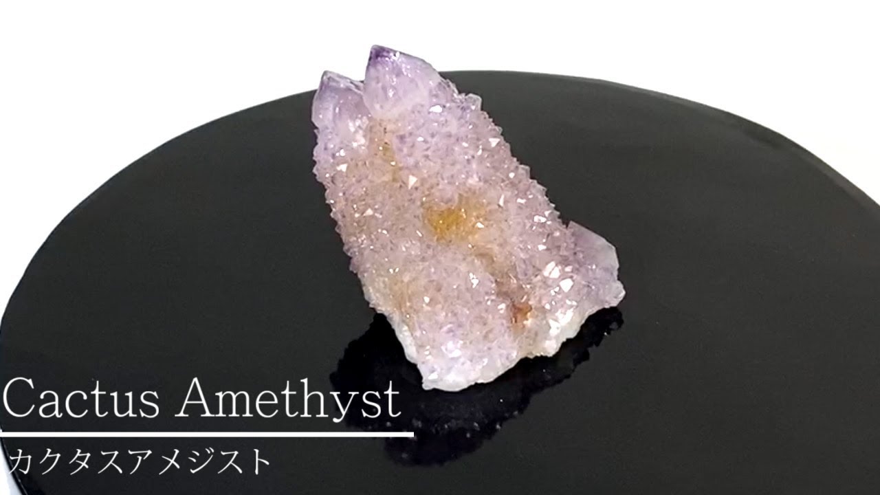 岡山のパワーストーン、風水・開運グッズのお店 龍祥本舗 / カクタス