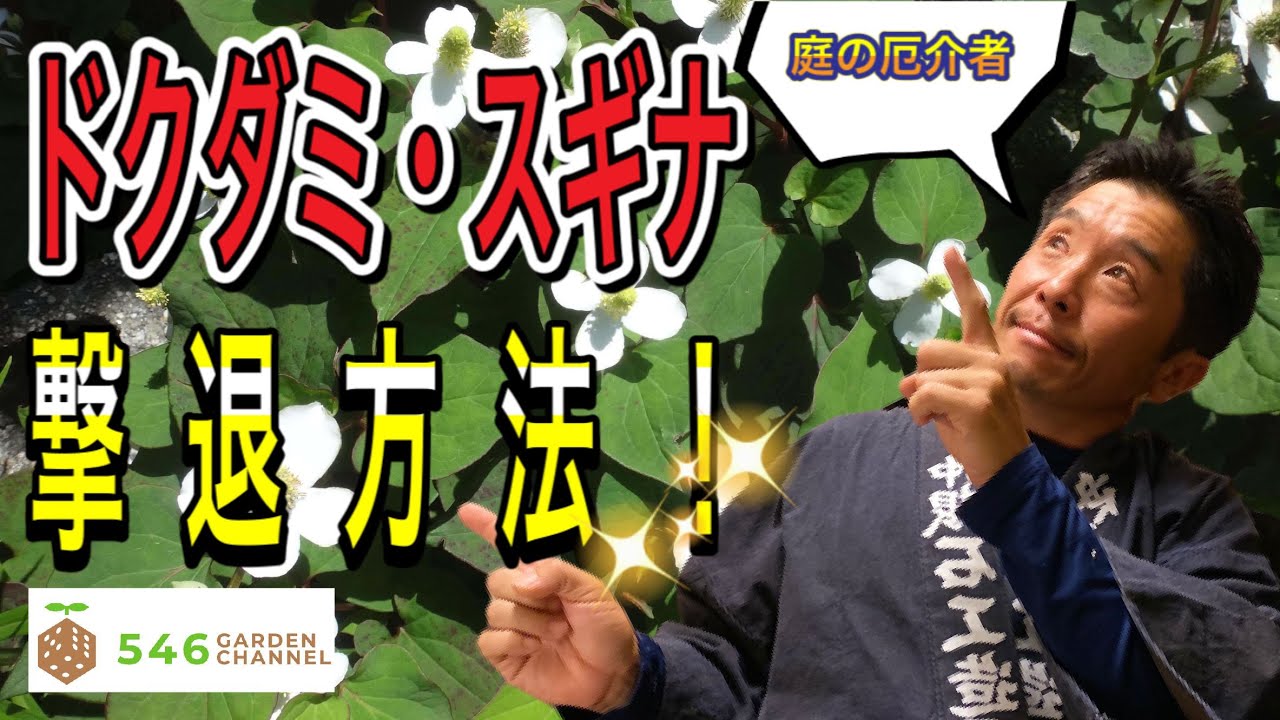 We'll show you a simple method for getting rid of garden weeds